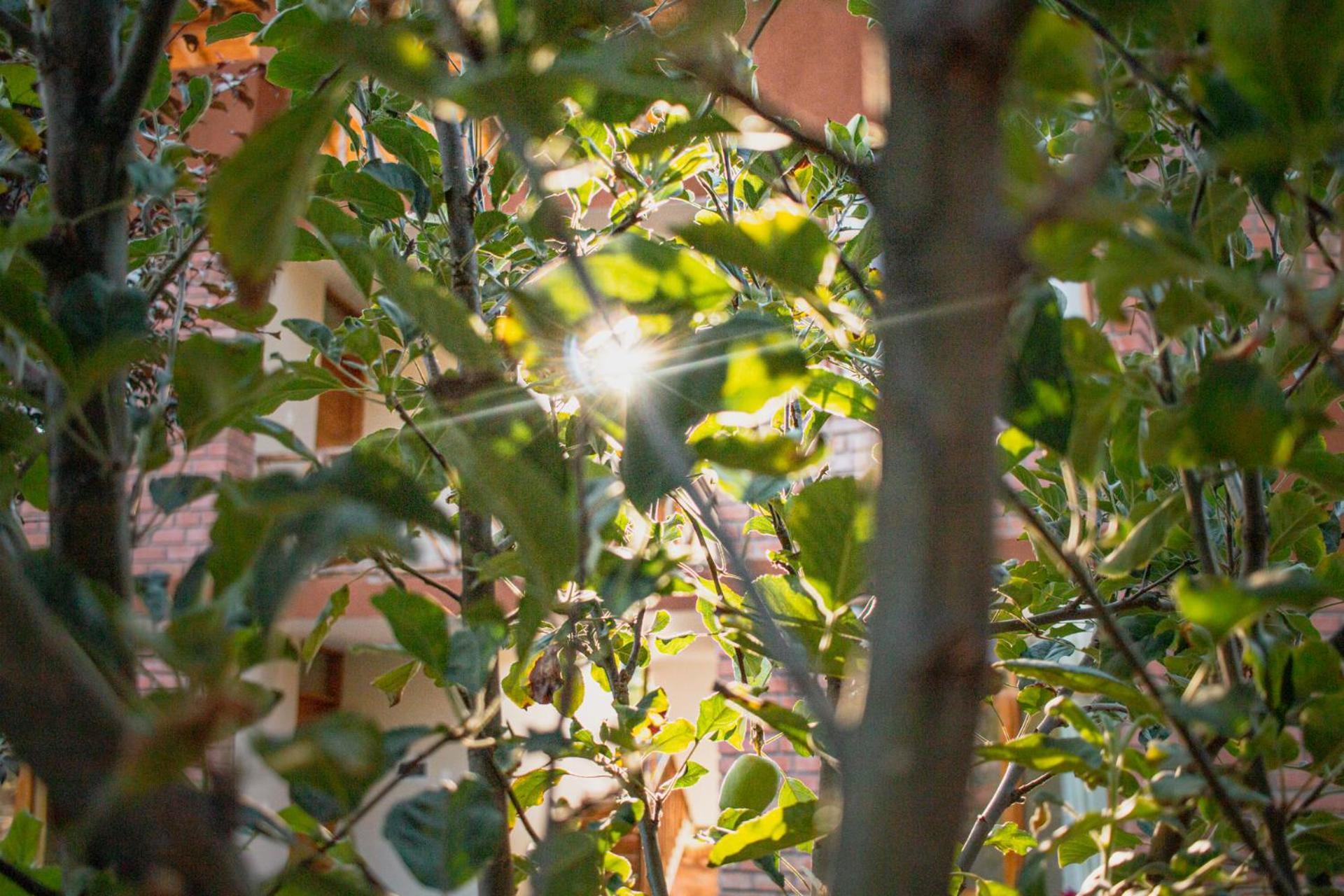 Allin Illary Eco Hospedaje Urubamba Exterior photo