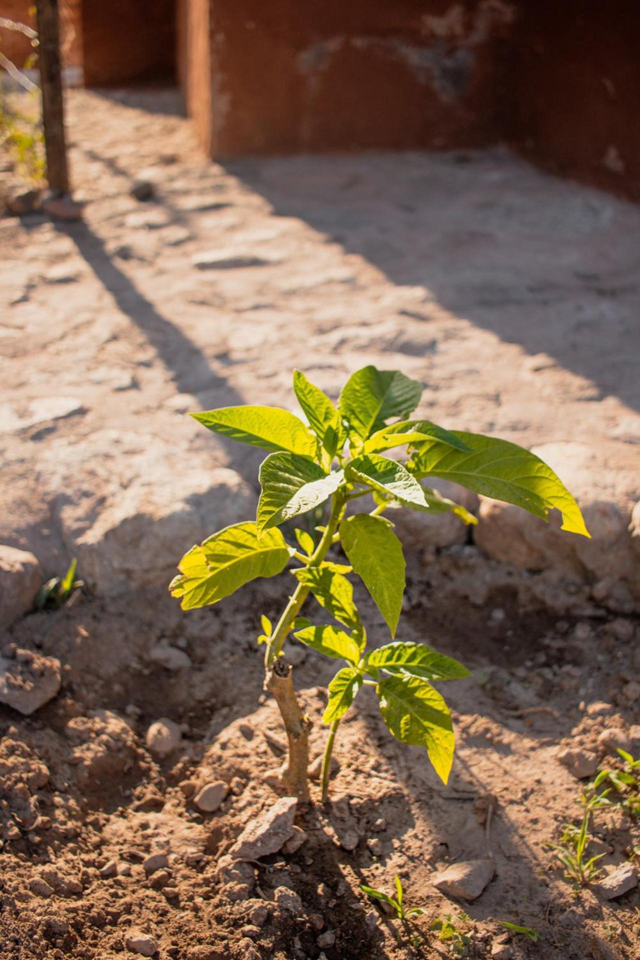 Allin Illary Eco Hospedaje Urubamba Exterior photo